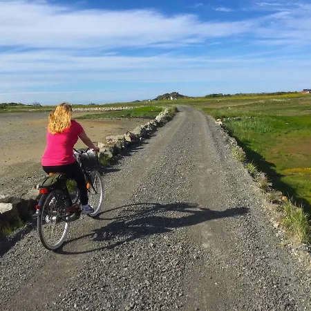 Midnight Sun View Lofoten Holiday home