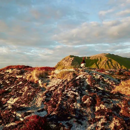 Midnight Sun View Lofoten Holiday home Leknes