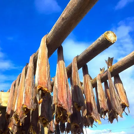 Midnight Sun View Lofoten * Leknes