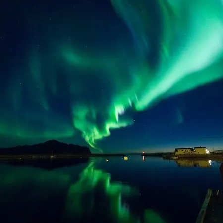 Midnight Sun View Lofoten *