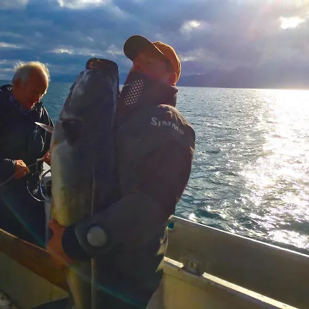 Midnight Sun View Lofoten
